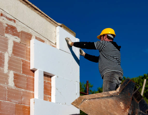 Best Spray Foam Insulation  in Lesslie, SC