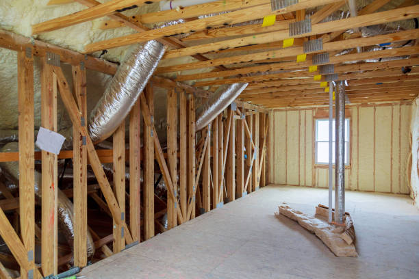 Best Insulation Inspection Services  in Lesslie, SC