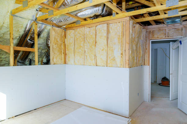Best Blown-in Insulation  in Lesslie, SC