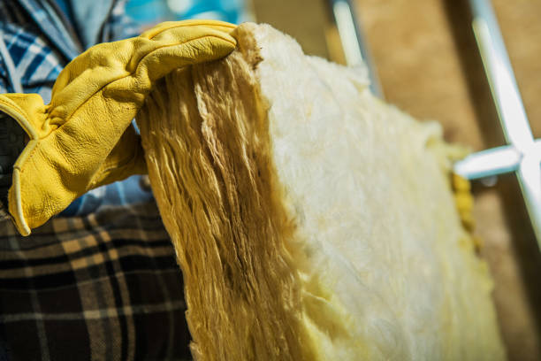 Best Insulation Contractor Near Me  in Lesslie, SC