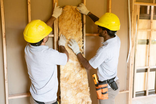 Attic Insulation Near Me in Lesslie, SC
