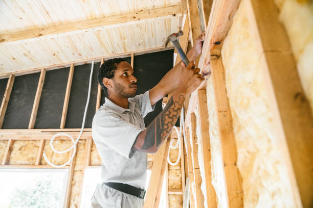 Best Local Insulation Services  in Lesslie, SC