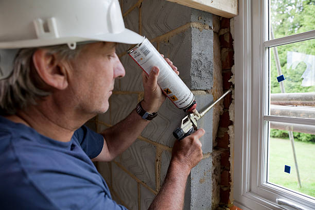 Best Blown-in Insulation  in Lesslie, SC