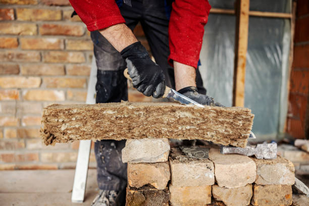 Best Professional Insulation Contractor  in Lesslie, SC