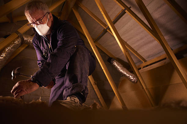 Best Insulation Removal  in Lesslie, SC