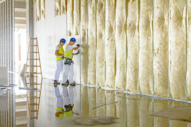 Best Insulation for New Construction  in Lesslie, SC